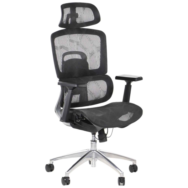 Fotel Obrotowy ERGONEW A1 czarny