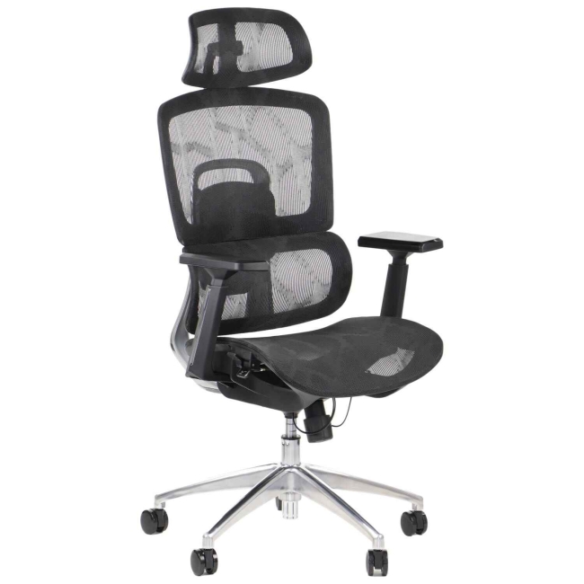 Fotel Obrotowy ERGONEW A1 czarny