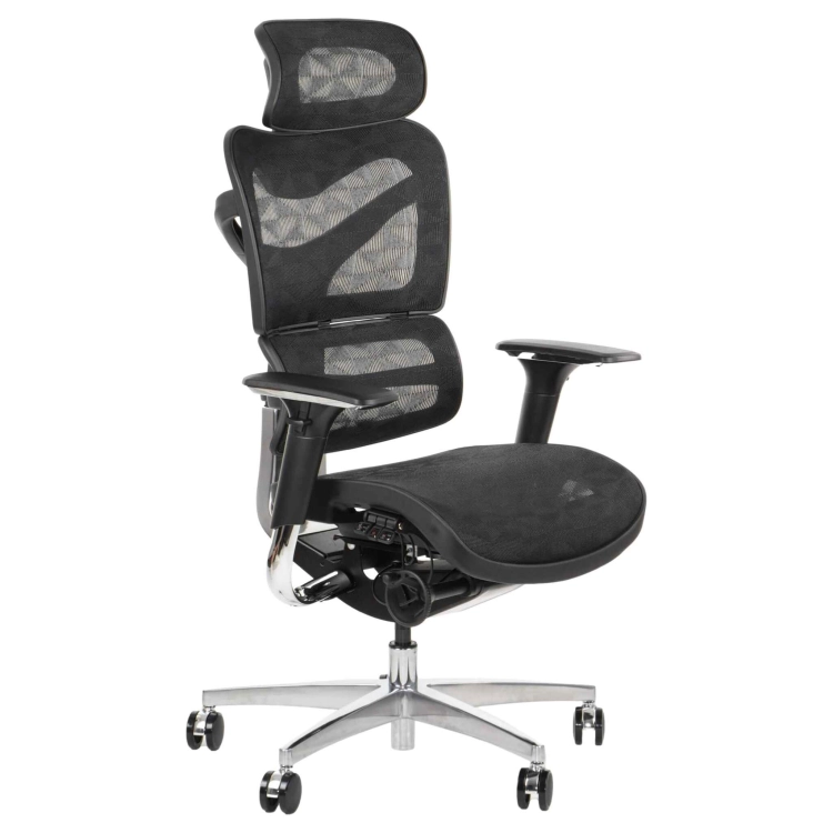 Fotel Obrotowy ERGONEW S72 siedzisko siatkowe