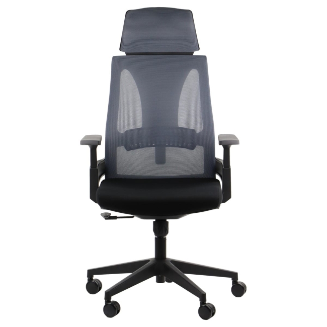fotel ergonomiczny OLTON H szary