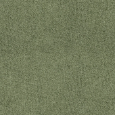 Dream Velvet