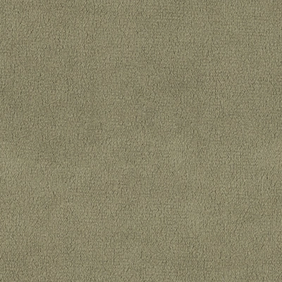 Dream Velvet