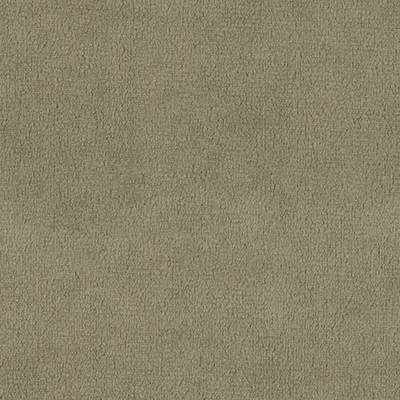 Dream Velvet