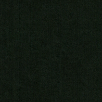 Uttario Velvet