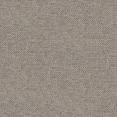 Nolio