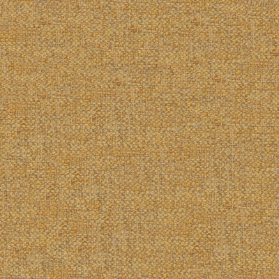 Nolio