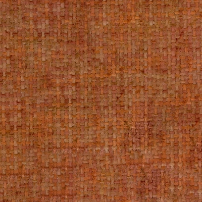 Ted