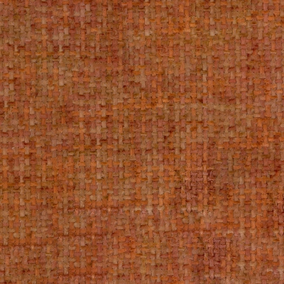Ted