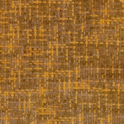 Ted