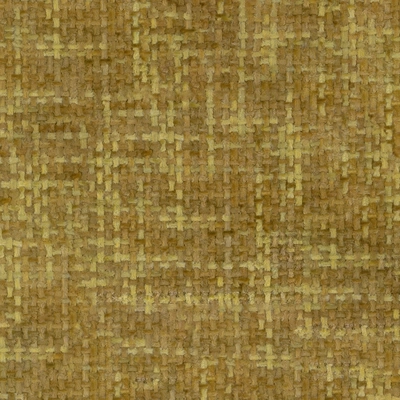 Ted