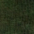 Ted