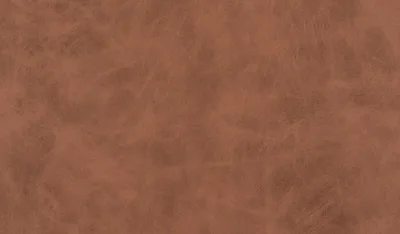 Tauro