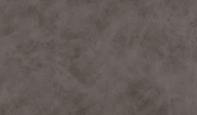 Tauro