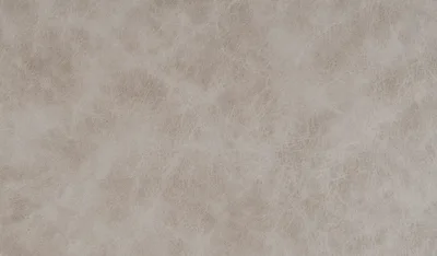 Tauro