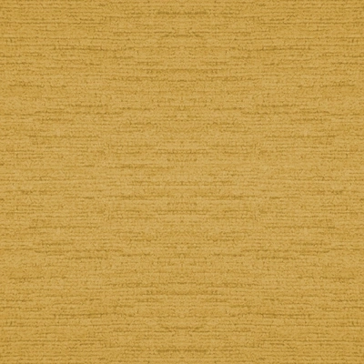 Rugia