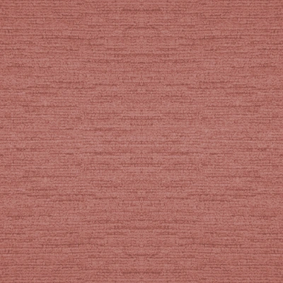 Rugia
