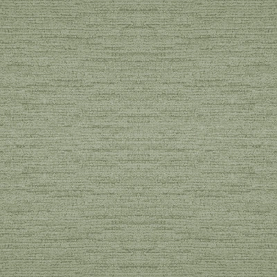 Rugia