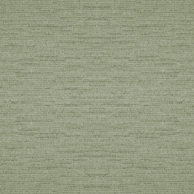 Rugia