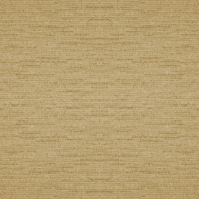 Rugia