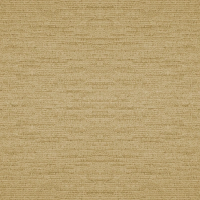 Rugia