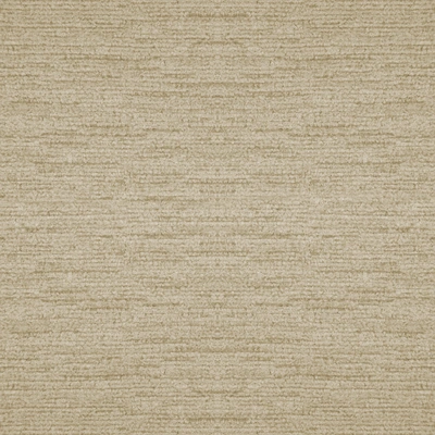 Rugia
